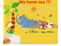 Презентация к уроку во 3м классе My home zoo