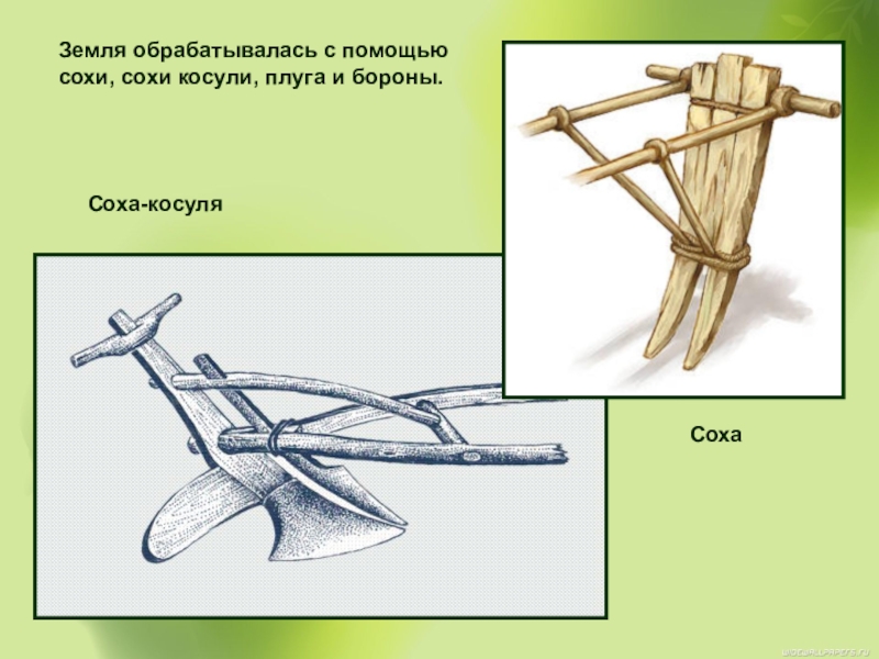 Орудия труда которыми пользовались восточные славяне. Соха Соха косуля плуг борона. Соха, борона 16 века. Соха косуля орудия труда. Соха-косуля это в древней Руси.