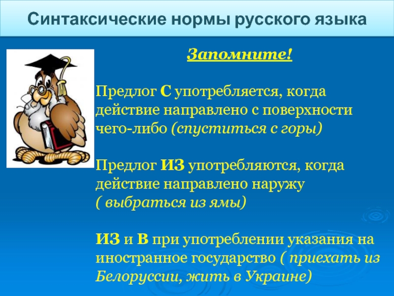 Синтаксические нормы литературного языка. Синтаксические нормы. Синтаксические нормы русского языка. Синтаксические нормы языка. Синтаксические нормы русского литературного языка примеры.