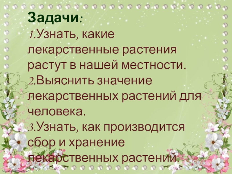 Растительность нашей местности предлагать способ. Лекарственные растения Брянской области. Лекарственные растения задачи. Какие растения растут в нашей местности. Какие лекарственные растения в Брянской области.