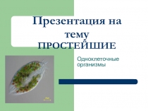 Простейшие