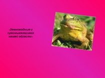 Презентация Земноводные и пресмыкающиеся нашей области