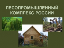 Презентация по географии по теме Лесопромышленный комплекс России для 9 класса