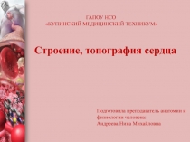 Презентации по анатомии и физиологии человека на тему: Строение, топография и функции сердца