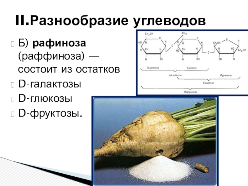 Питательное разнообразие сахароза. Рафиноза. Углеводы биология 10 класс. Рафиноза где содержится.