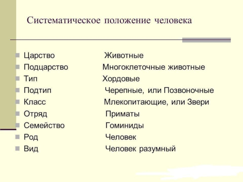 Систематически это сколько. Систематическое положение человека. Систематическое положение человека царство. Систематическое положение человека Тип. Систематика положения человека.