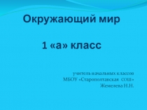 Окружающий мир В подводном мире