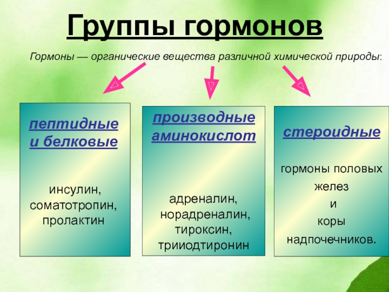 Химическая природа гормонов аминокислотная белковая стероидная заполните схему