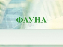 Презентация по окружающему миру Фауна