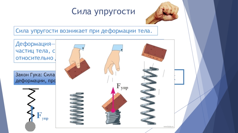 Действие силы упругости. Сила упругости возникает при деформациях. Сила упругости сила которая возникает при деформациях тел. Деформация и силы упругости. Сила упругости возникает при деформации тела.