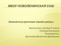 Презентация по теме Комнатные растения нашей школы