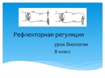 Презентация по биологии 8 класс по теме Рефлекторная регуляция организма