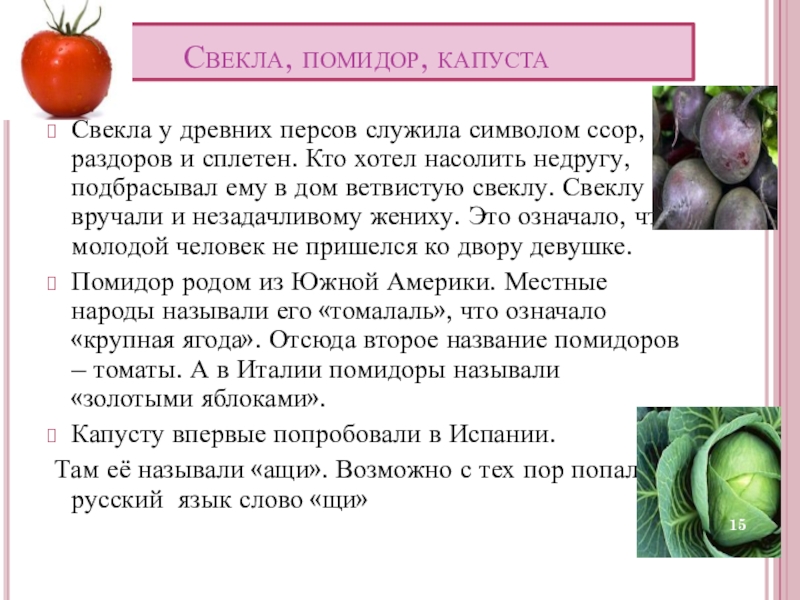 Томат капуста. Свекла и помидоры. Сорта томатов сообщение. Помидор свекла и капуста это какие культуры. Свёкла или свекла как правильно говорить.