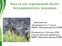 Презентация к проекту Косуля как охраняемый объект Богдановичского заказника