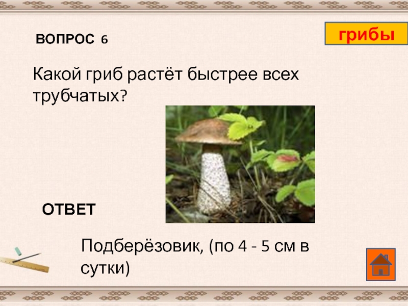 На какой вопрос отвечает гриб