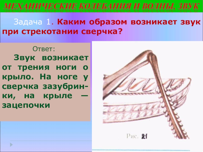 Каким образом мм. Каким образом возникает звук при стрекотании сверчка. Задание как появляется звук. Зацепочка. Волновое стрекотание.