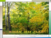 Презентация по родному языку на тему Баласта