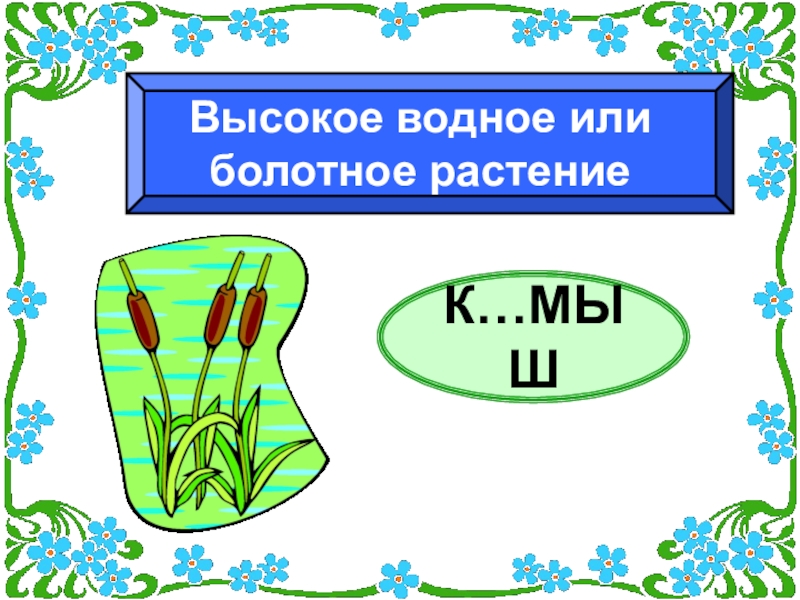 Реферат: Ботанический сад 2