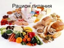 Презентация по физиологии питания Рацион питания