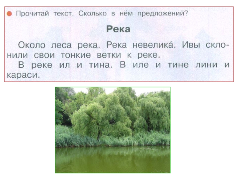 4 3 предложения на реке. Река около леса река река невелика ивы склонили. Около леса река река невелика ивы склонили свои тонкие. Около леса река река невелика. Ивы склонили свои тонкие ветки к реке.