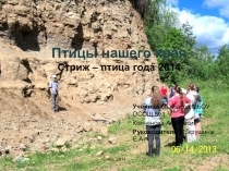 Презентация Птицы нашего края
