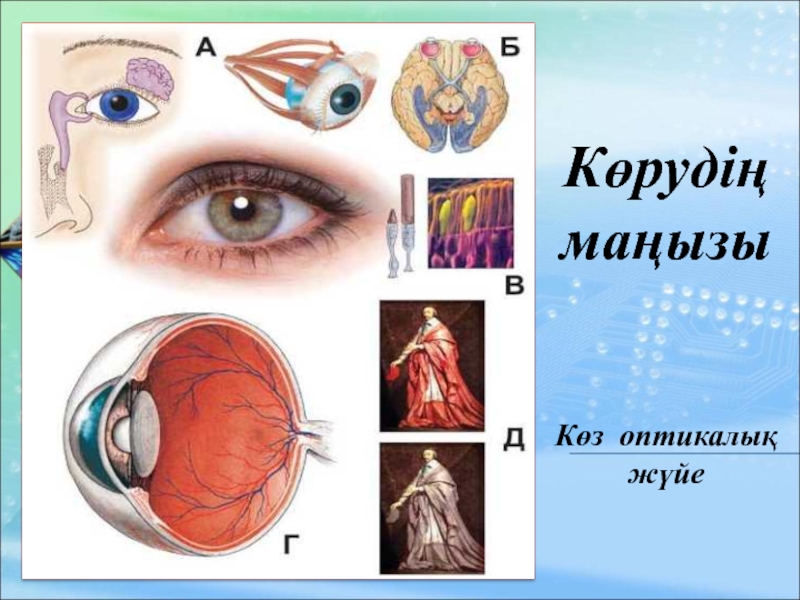 Көз гигиенасы презентация