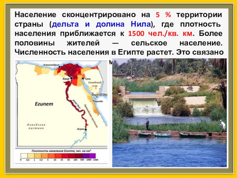 Общие черты населения бразилии и египта. Плотность населения Египта. Карта плотности населения Египта. Плотность население Египта география. Плотность населения Египта 2020.