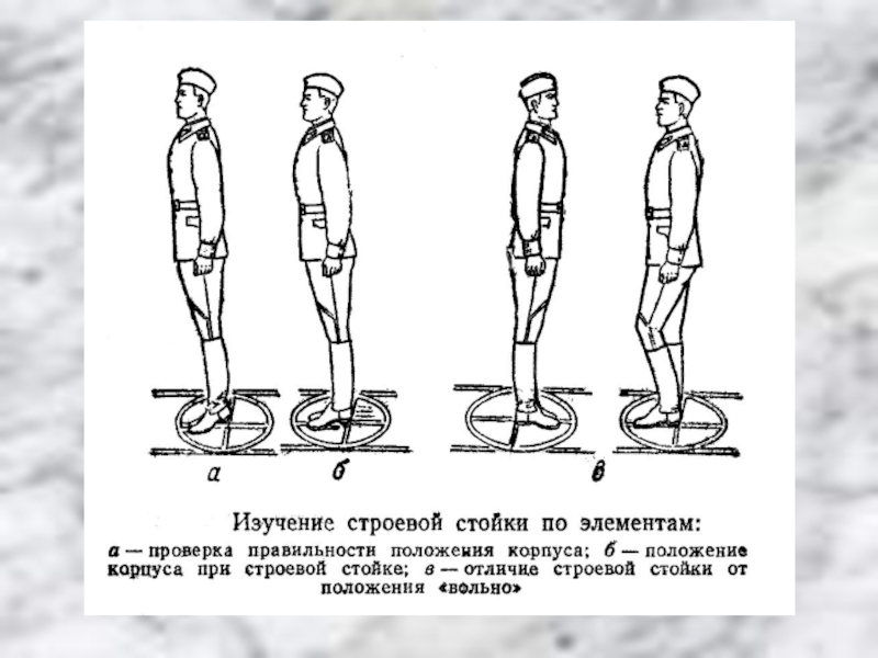 Команда становись. Изучение строевой стойки по элементам. Положение строевой стойки. Строевая (основная) стойка.. Строевая стойка команды.