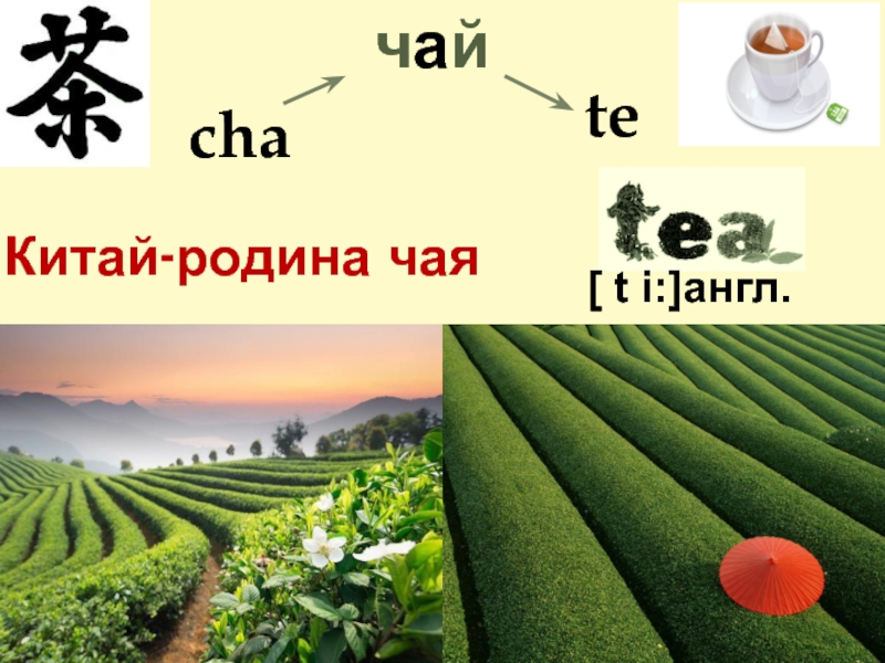 Китай на английском языке презентация