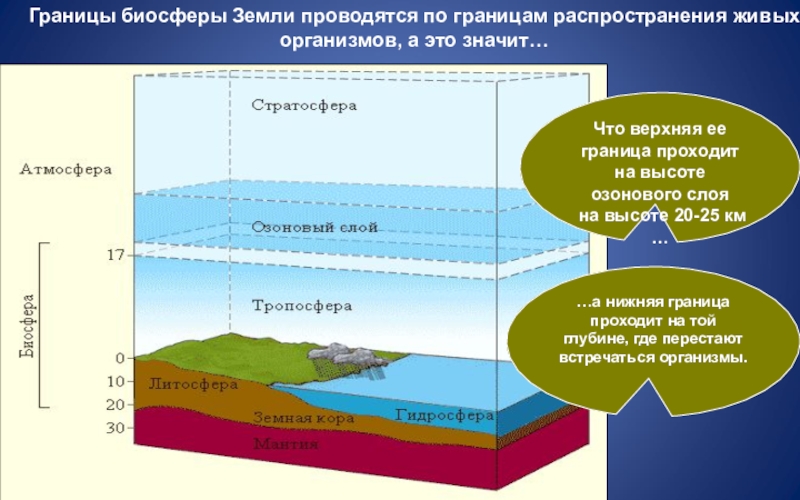 Рисунок биосферы 6 класс