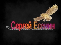 Презентация по литературе С.А. Есенин + викторина (5 класс)