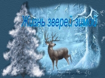 Презентация на Тему: Жизнь зверей зимой.