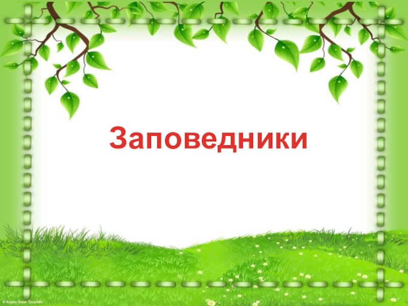 3 заповедника. Что такое заповедник 3 класс окружающий мир. Урок окружающего мира 3 класс. Заповедник по окружающему миру 3 класс. Проект заповедник 3 класс окружающий мир.