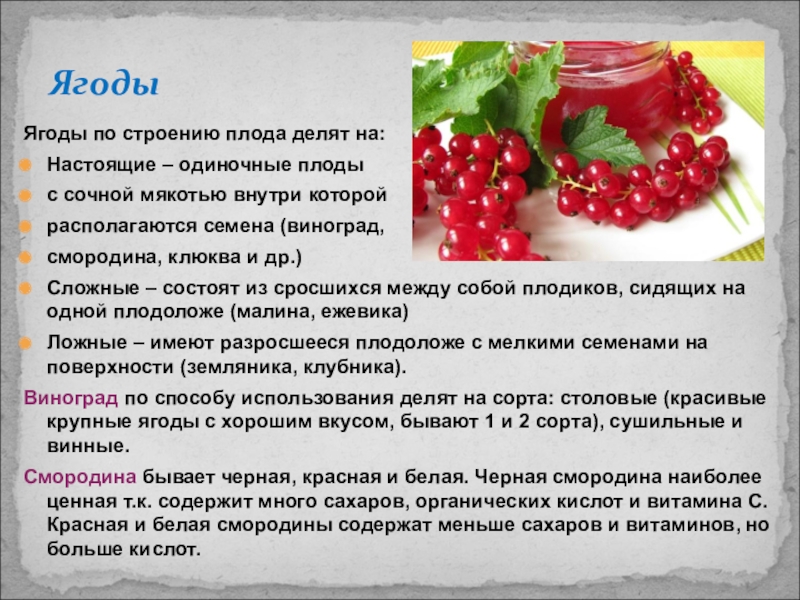 Ягодка характеристика. Особенности строения ягоды. Строение плода ягода. Особенности строения плода ягода. Характеристика ягоды.