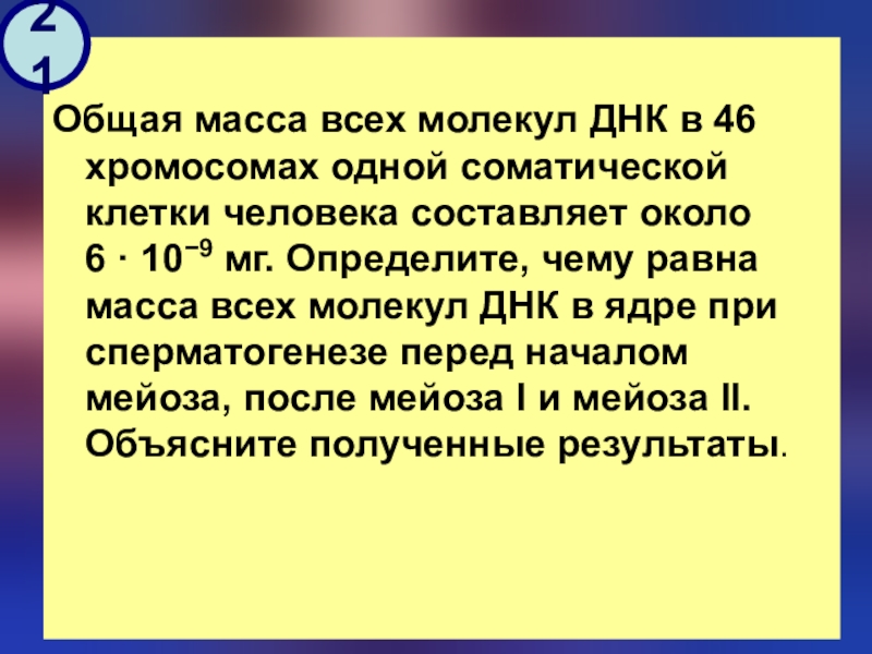 Общая масса молекул днк в 46