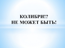 Презентация к исследовательской работе Колибри! Не может быть!