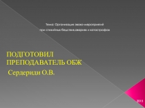 Презентация по предмету БЖД Организация эвакуационных мероприятий при стихийных бедствия,авариях и катастрофах (2 курс)