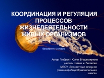 Презентация Координация и регуляция процессов жизнедеятельности организмов