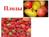 Презентация по биологии на тему:Плоды