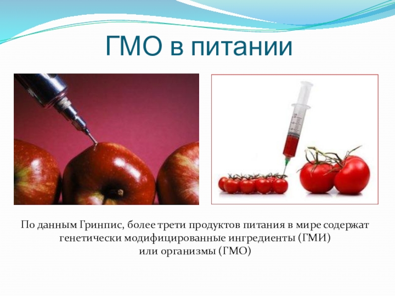 Проект генно модифицированные продукты