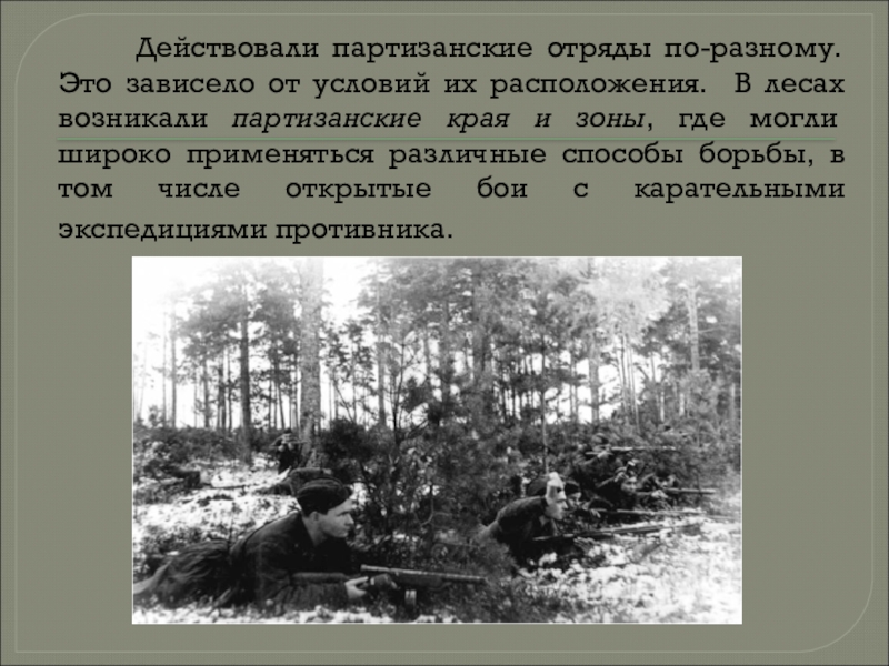 Презентация на тему партизанское движение в годы великой отечественной войны