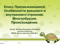 Презентация по биологии на тему Класс Пресмыкающиеся. Особенности внешнего и внутреннего строения. Многообразие. Происхождение.