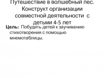 Презентация к конструкту Путешествие в волшебный лес