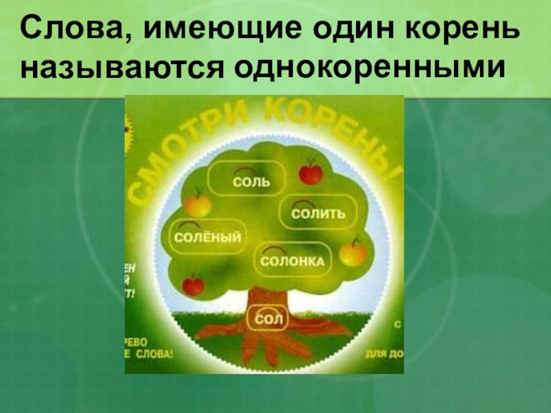 Слова с одним корнем. Слова имеющие один корень. Слова с 1 корнем. Копень единый корень слова.