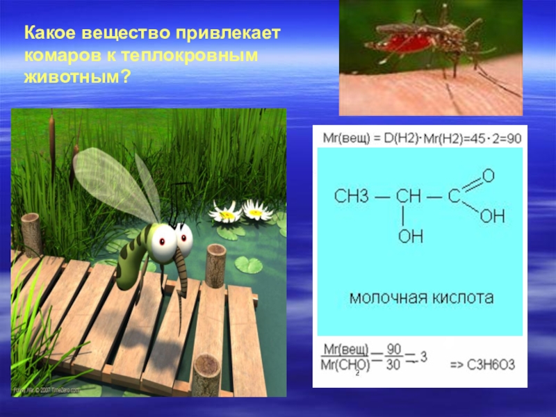 Презентация химия запахов