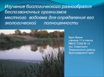 Презентация исследовательской работы Определение загрязнения местного водоема по беспозвоночным организмам