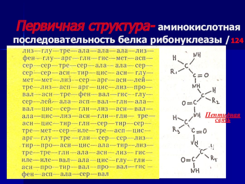 Первичная структура аминокислот