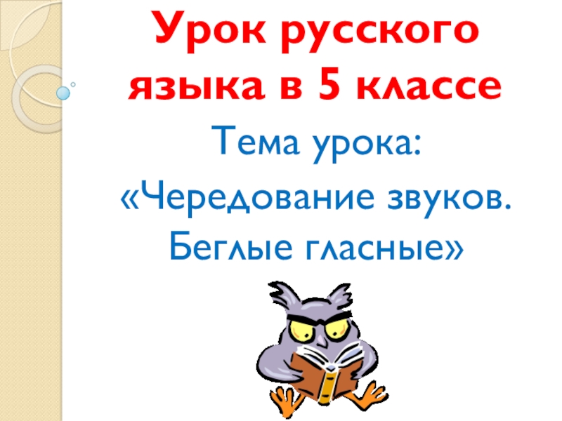 Чередование звуков беглые гласные 5 класс