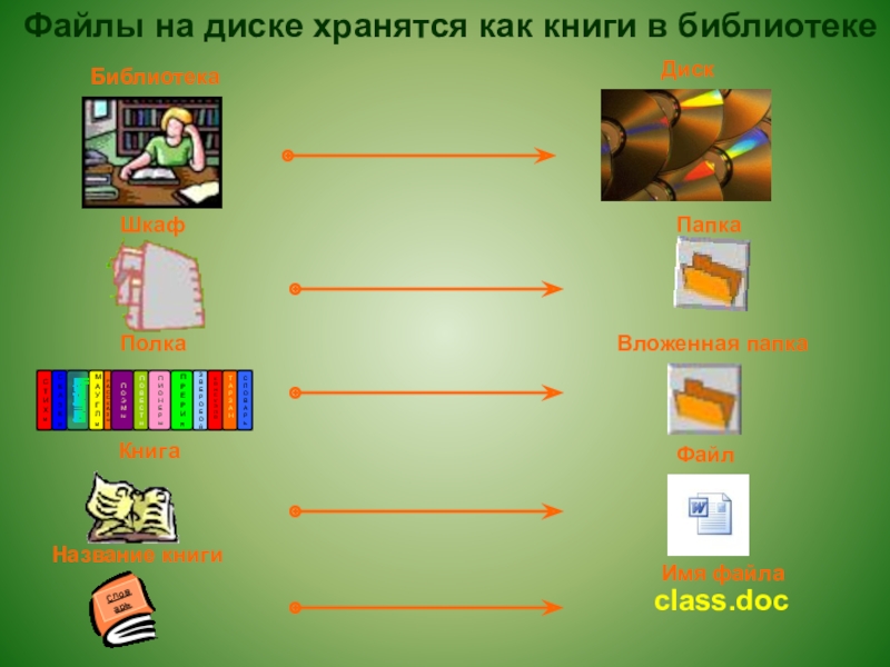 Рассмотрите рисунок сколько всего папок хранится на диске е