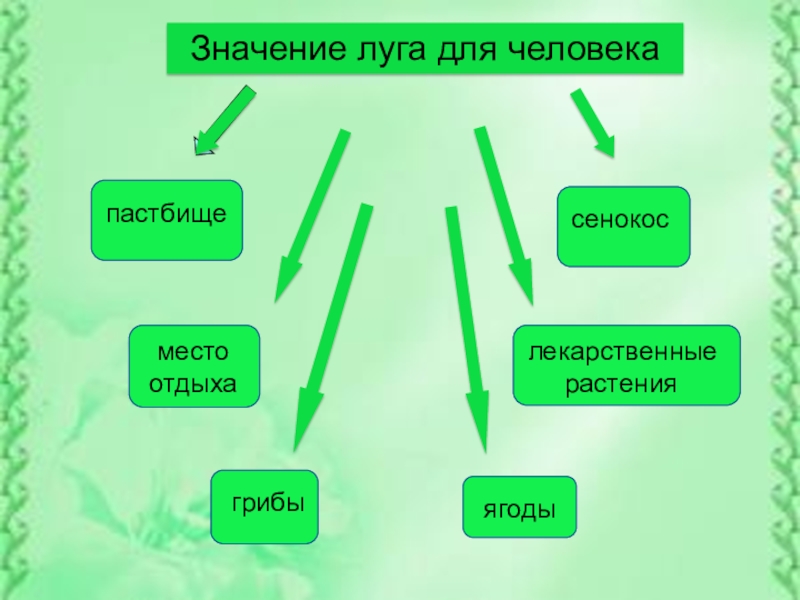 Презентация по окружающему миру луг 4 класс